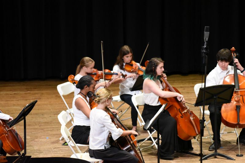 Viola, Cello, Bass ensemble concert