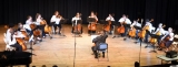 Cello ensemble concert