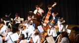 Chamber orchestra concert 4