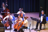 Viola/Cello/Bass Ensemble 3