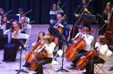 Chamber Orchestra 1