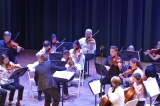 Chamber Orchestra 8