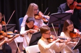 Chamber Orchestra 10