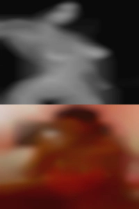 What happens during fuck sex?